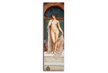Venus at the Bath Obraz zs16935