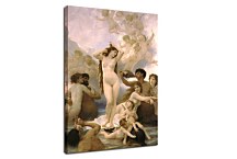 Obrazy William-Adolphe Bouguereau - Birth of Venus zs17335