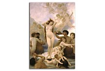 Obrazy William-Adolphe Bouguereau - Birth of Venus zs17335
