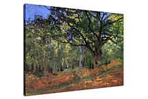 The Bodmer Oak, Fontainebleau Reprodukcia Monet - zs17819