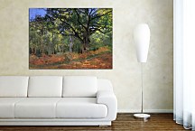 The Bodmer Oak, Fontainebleau Reprodukcia Monet - zs17819