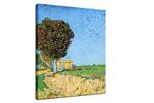 Vincent van Gogh Obraz - A Lane near Arles zs18371