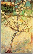 Vincent van Gogh - Pear Tree in Blossom Obraz zs18381