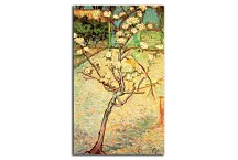 Vincent van Gogh - Pear Tree in Blossom Obraz zs18381