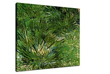 Vincent van Gogh Obraz - Clumps of Grass zs18383