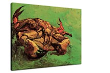 Vincent van Gogh Obraz - Crab on It`s Back zs18386