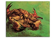 Vincent van Gogh Obraz - Crab on It`s Back zs18386