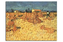 Harvest in Provence zs18398 - Vincent van Gogh obraz