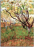  Vincent van Gogh obraz - Orchard in Blossom zs18422