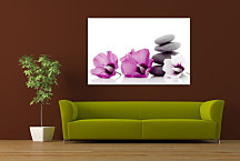 SPA obraz na stenu - Kvety s kameňmi zs24392