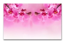 Obraz Orchidea ružová zs267