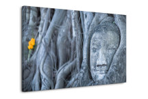 Obraz - Budha a Strom zs3271