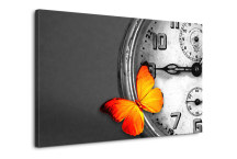 Obraz Motýľ a čas zs3340