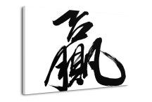 Obraz Čínsky znak zs456