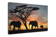 Slony - Obraz na stenu zs460