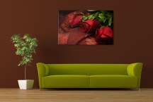 Ruže - Obraz na stenu zs92