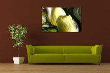 Obraz - Žlté tulipány zs94