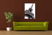 Eiffel tower Obraz zv24204