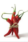 Obraz Chilli papričky zv509