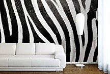Čiernobiela fototapeta Zebra 123 - samolepiaca na stenu